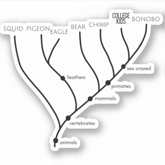 Albernes Cladogram 3" x 3" Vinyl Stickers Aufkleber (Vorderseite)