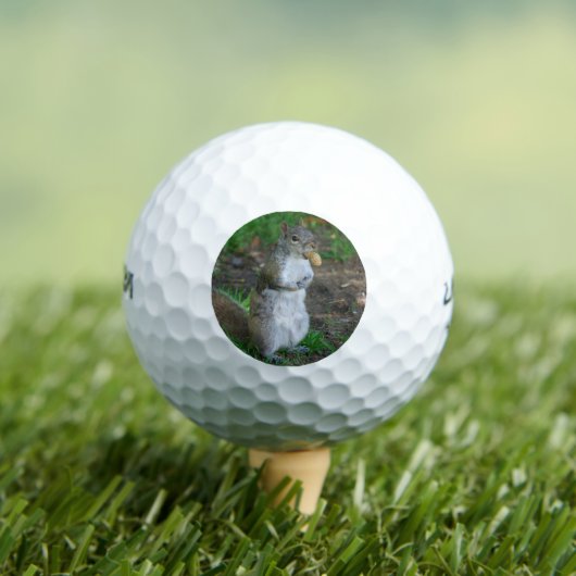 Albernes Eichhörnchen Golfball (Insitu T-Shirt)