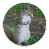 Albernes Eichhörnchen Keramikknauf (Vorderseite)