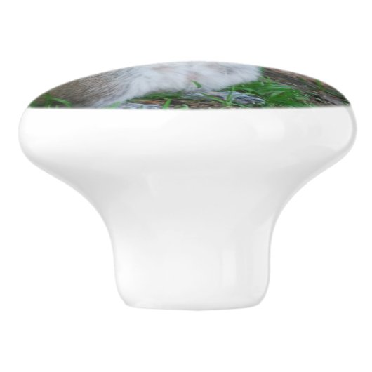 Albernes Eichhörnchen Keramikknauf (Seitenansicht)