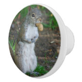 Albernes Eichhörnchen Keramikknauf (Rechts)