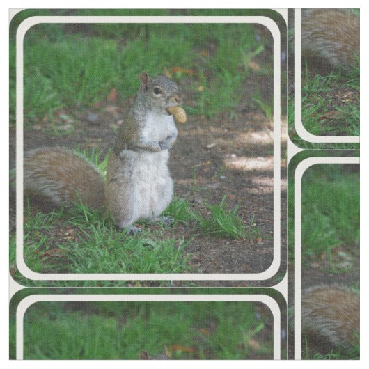 Albernes Eichhörnchen Stoff (Nahaufnahme)