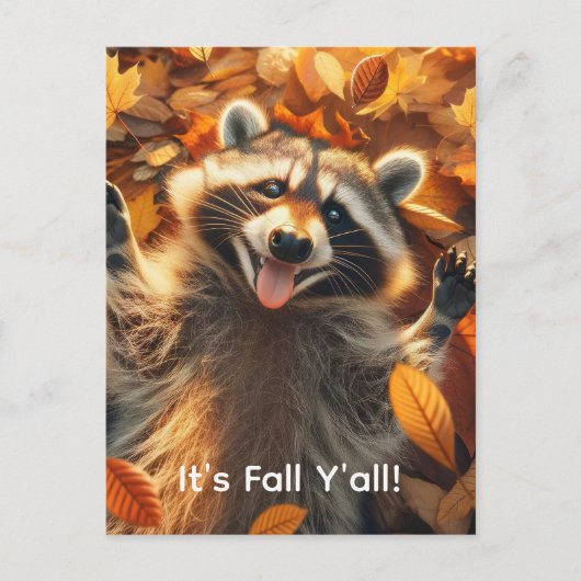 Albernes Fallraccoon Postkarte (Vorderseite)