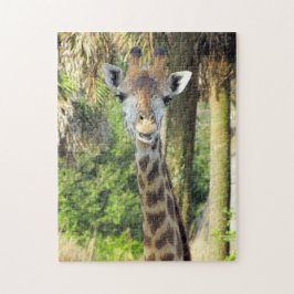 Albernes Giraffe Puzzle