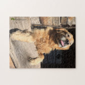 Albernes Golden Retriever Foto Puzzle (Horizontal)