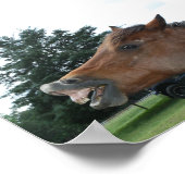 Albernes Horse Poster; Wählen Sie eine Hintergrund Poster (Ecke)