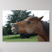 Albernes Horse Poster; Wählen Sie eine Hintergrund Poster (Vorne)