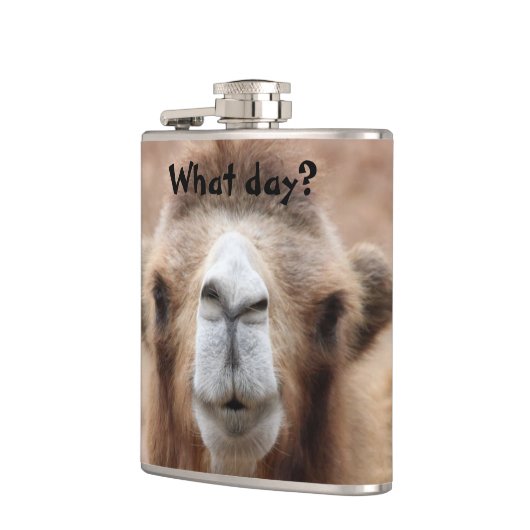 Albernes Kamel-Foto (fertigen Sie) besonders an Flachmann (Links)