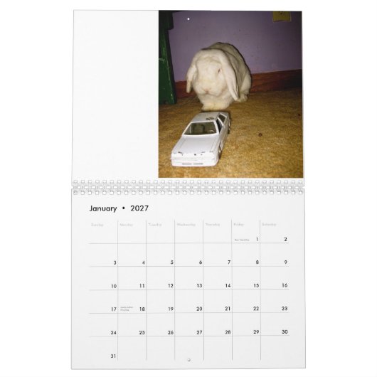 albernes Kaninchen Kalender (Jan 2027)