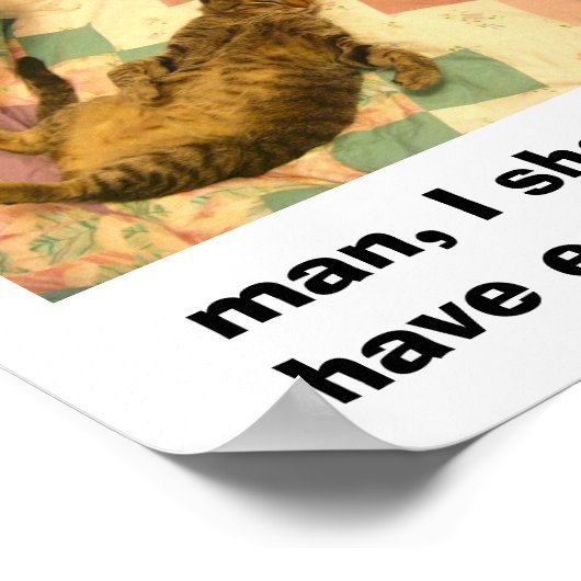 albernes Katzenbild Poster (Ecke)