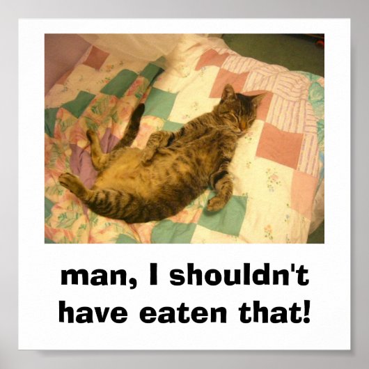 albernes Katzenbild Poster (Vorne)