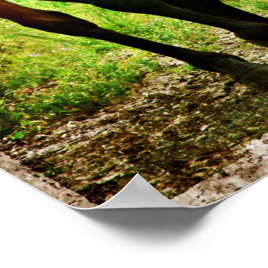 Albernes Pferd Poster (Ecke)