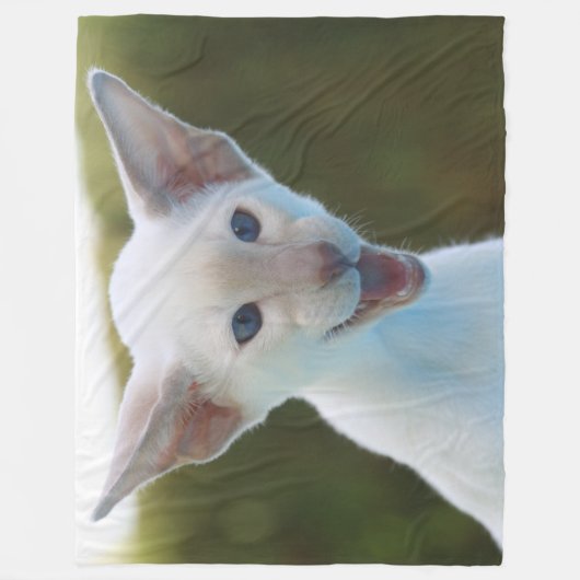 Albernes Siamesen Fleecedecke (Vorderseite)