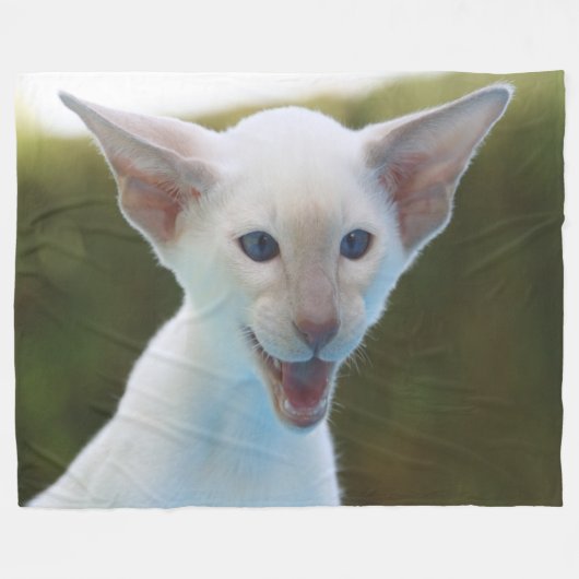 Albernes Siamesen Fleecedecke (Vorderseite (Horizontal))