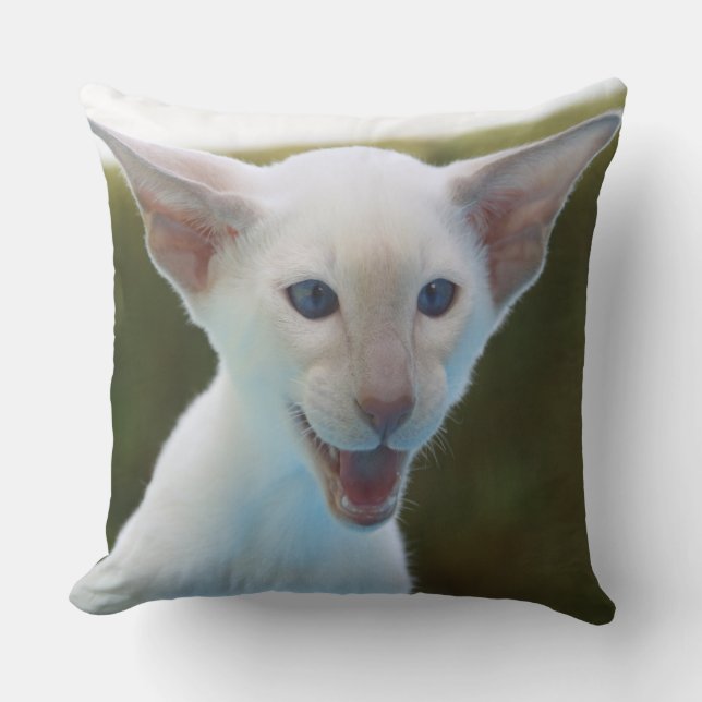 Albernes Siamesen Kissen (Vorderseite)