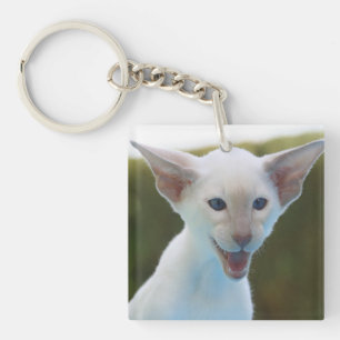 Albernes Siamesen Schlüsselanhänger