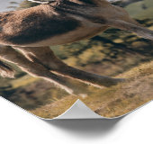 Albernes Tierposter Poster (Ecke)