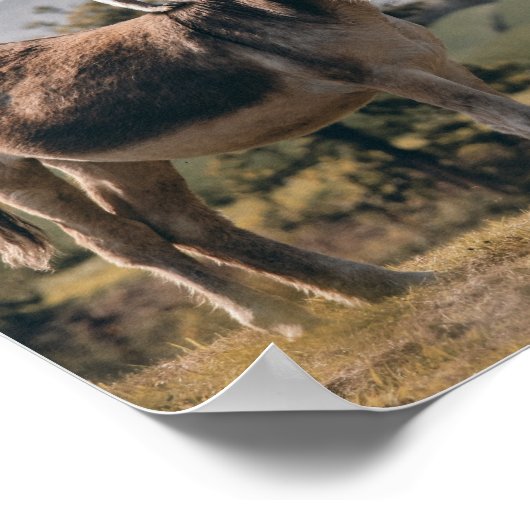 Albernes Tierposter Poster (Ecke)