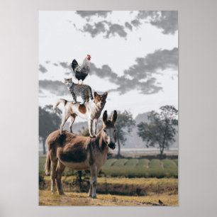 Albernes Tierposter Poster