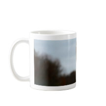 Albernes Vogel-Foto| Ostrich-Gesichts-Tier-Foto