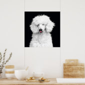 Albernes Weiße Poodle Poster (Küche)