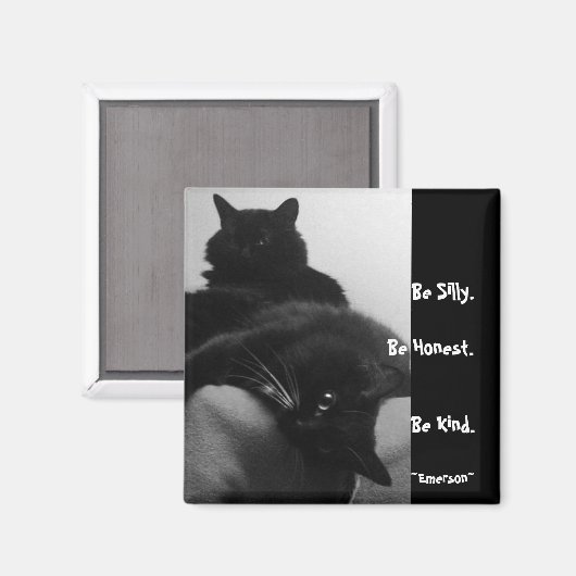 Albernes Zitat-Magnet Magnet (Vorderseite/Rückseite)