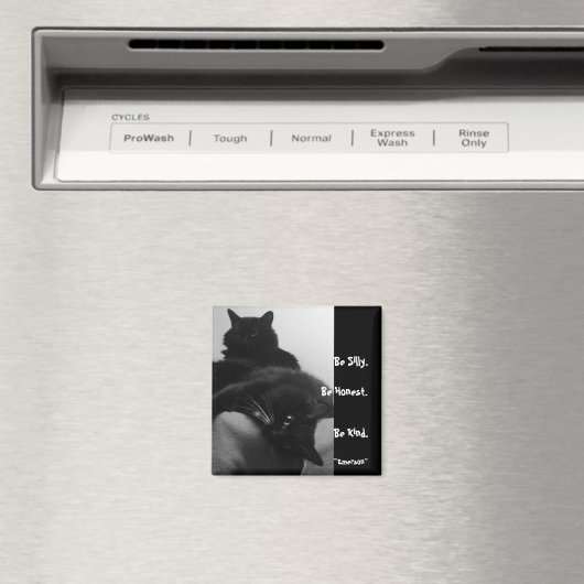 Albernes Zitat-Magnet Magnet (In Situ (Geschirrspüler))