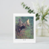 Albert Bierstadt #225 - Fine Art Postcard Postkarte (Stehend Vorderseite)