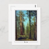 Albert Bierstadt #31 - Fine Art Postcard Postkarte (Vorne/Hinten)