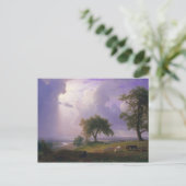 Albert Bierstadt California Spring Cattle Postkarte (Stehend Vorderseite)
