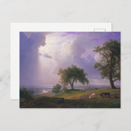 Albert Bierstadt California Spring Cattle Postkarte (Vorne/Hinten)