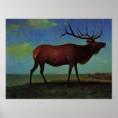 Albert Bierstadt, Elk Poster (Vorne)