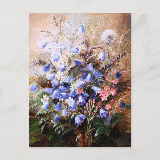 Albert Dürer Lucas: Harebells und Centaury Postkarte (Vorderseite)