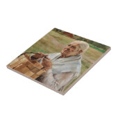 Albert Edelfelt - Alte Frau mit einem kleinen Korb Fliese (Seite)