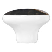 Albert Edelfelt - Portrait von Louis Pasteur Keramikknauf (Seitenansicht)