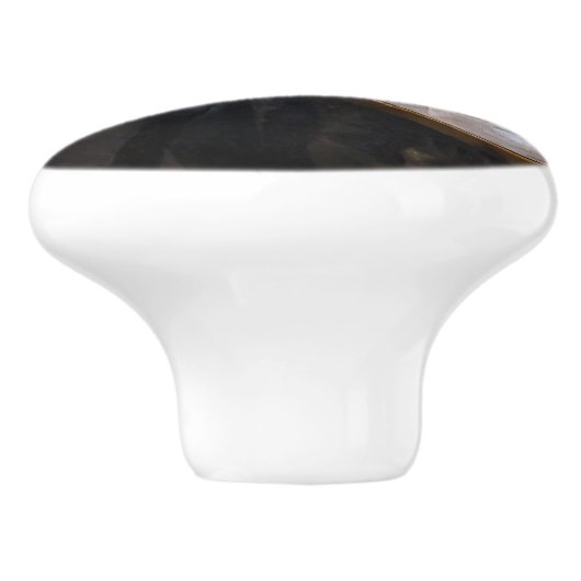 Albert Edelfelt - Portrait von Louis Pasteur Keramikknauf (Seitenansicht)