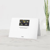 Albert Edelfelt - Water Lilies, Studie Karte (Rückseite)