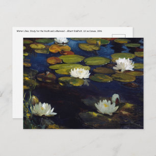Albert Edelfelt - Water Lilies, Studie Postkarte