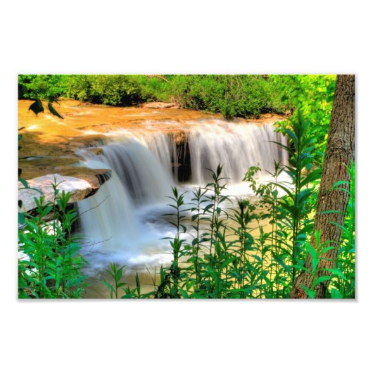 Albert Falls, West Virginia Fotodruck (Vorne)