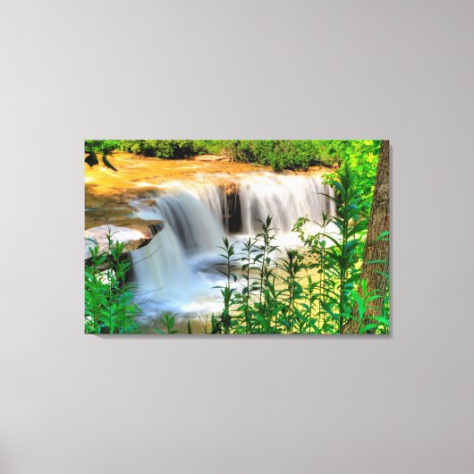 Albert Falls, West Virginia Leinwanddruck (Vorderseite)