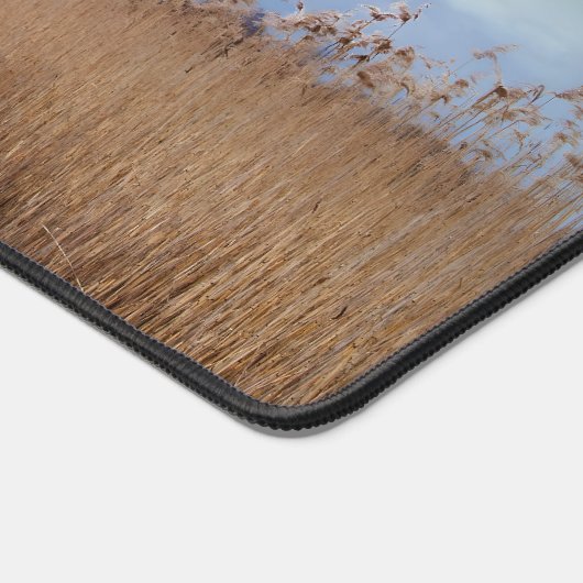 Albert Schweitzer Inspiration Zitat "Wahrheit" Schreibtischunterlage (Ecke)