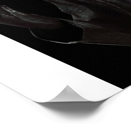 Albert Wesker Poster (Ecke)