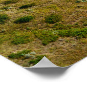 Alberta-Eisenbahnsymbol Poster (Ecke)