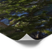 Alberta Falls I Poster (Ecke)