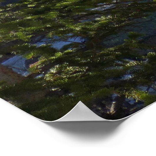 Alberta Falls I Poster (Ecke)