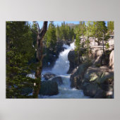 Alberta Falls I Poster (Vorne)