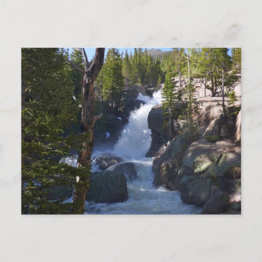 Alberta Falls I Postkarte (Vorderseite)