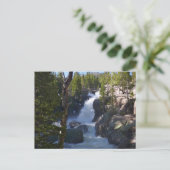 Alberta Falls I Postkarte (Stehend Vorderseite)