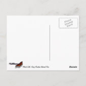 Alberta Falls im Herbst in Rocky Mountains Postkarte (Rückseite)