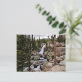 Alberta Falls in Rocky Mountain National Park Postkarte (Stehend Vorderseite)